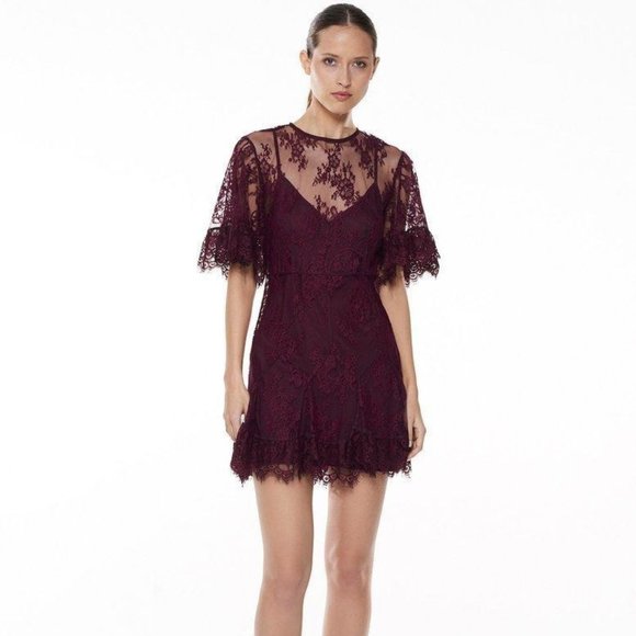 La Maison Talulah Dresses & Skirts - NWT La Maison Talulah Blind Love Illusion Lace Mini Dress XXL
